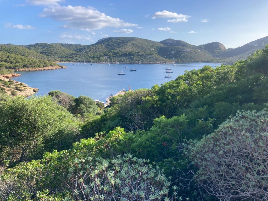 Baignade et paddle dans la réserve naturelle de Cabrera